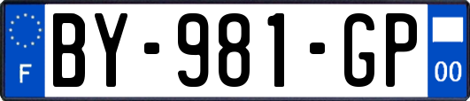 BY-981-GP