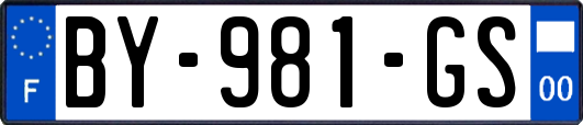 BY-981-GS