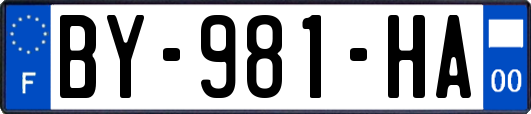 BY-981-HA