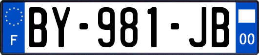 BY-981-JB