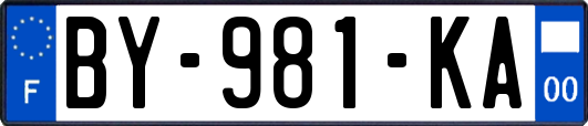 BY-981-KA