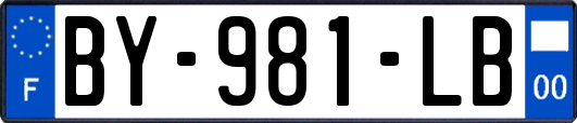 BY-981-LB