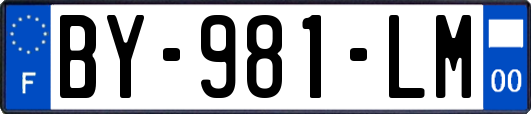 BY-981-LM