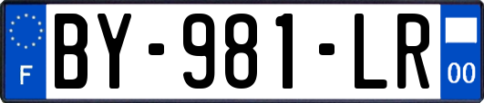 BY-981-LR