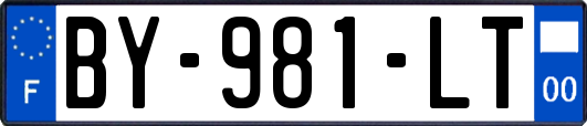 BY-981-LT