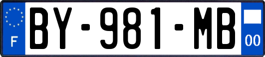 BY-981-MB