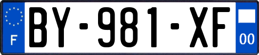 BY-981-XF