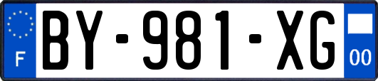 BY-981-XG