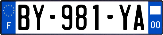 BY-981-YA