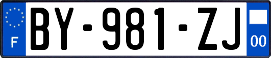 BY-981-ZJ