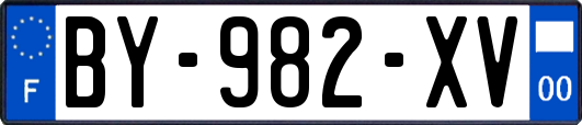BY-982-XV