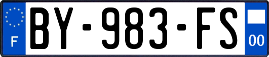 BY-983-FS