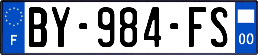 BY-984-FS