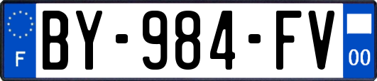 BY-984-FV