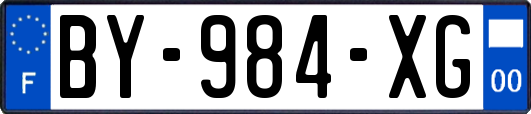 BY-984-XG