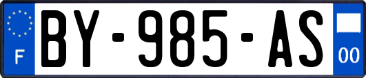 BY-985-AS