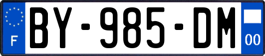 BY-985-DM