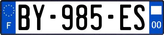 BY-985-ES