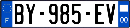 BY-985-EV