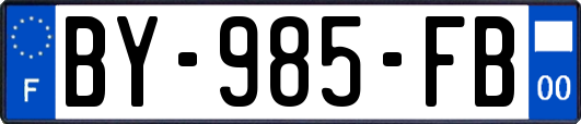BY-985-FB