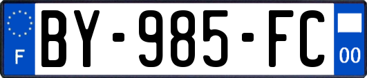 BY-985-FC