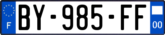 BY-985-FF