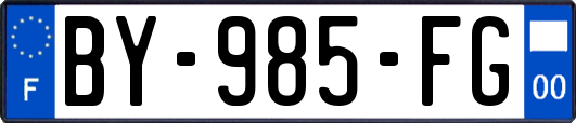 BY-985-FG