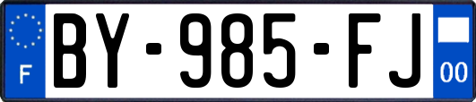 BY-985-FJ