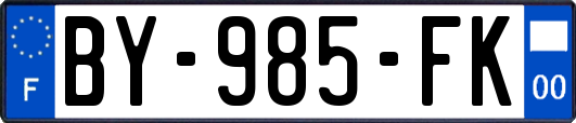 BY-985-FK