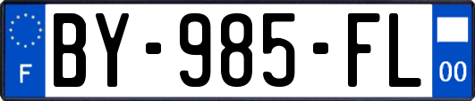 BY-985-FL