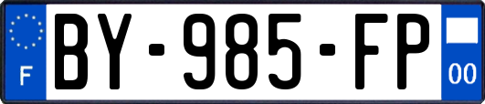 BY-985-FP