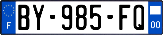 BY-985-FQ