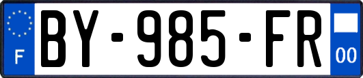 BY-985-FR