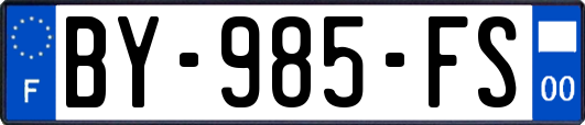 BY-985-FS