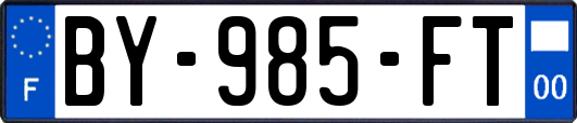 BY-985-FT