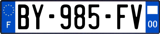 BY-985-FV