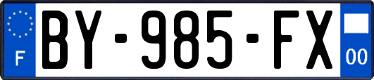 BY-985-FX