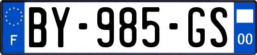 BY-985-GS