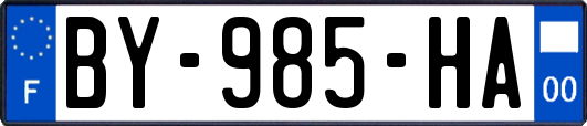 BY-985-HA