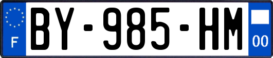 BY-985-HM