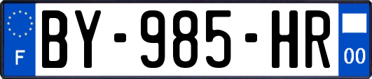 BY-985-HR