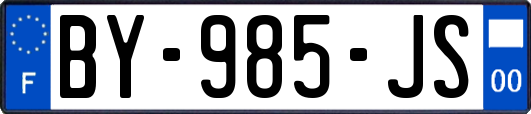 BY-985-JS