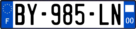 BY-985-LN