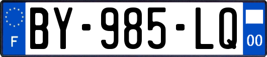 BY-985-LQ