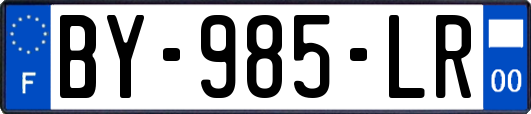 BY-985-LR
