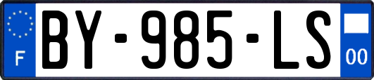 BY-985-LS
