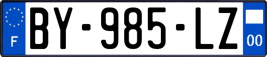 BY-985-LZ