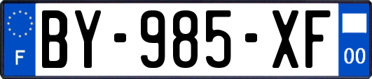 BY-985-XF