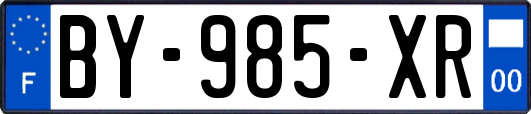 BY-985-XR