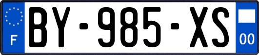 BY-985-XS